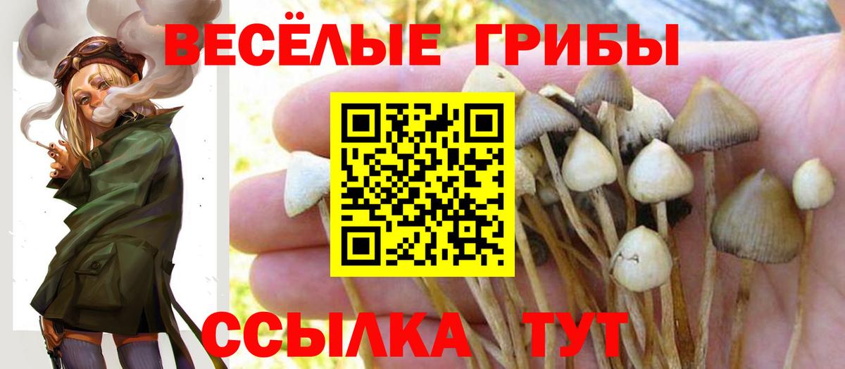 Галлюциногенные грибы GOLDEN TEACHER Троицк